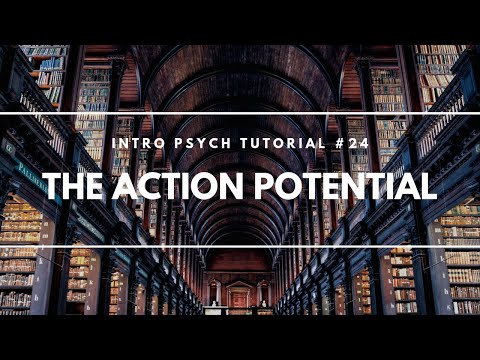 Neuron Structure Parts of a Neuron Intro Psych Tutorial 23
