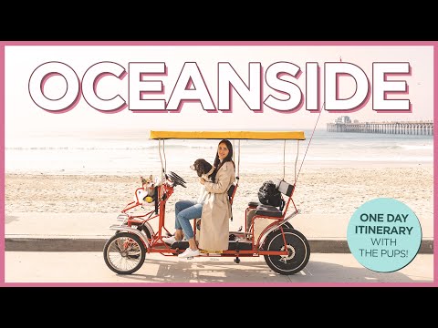 如何與你的狗在海山城度過美好的一天 (How To Have a Fantastic Day in Oceanside With Your Dog)