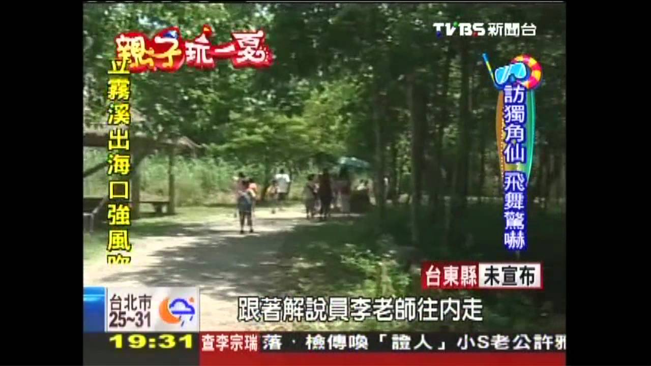 【親子玩一夏】訪桃米村 獨角仙、三角蜻蜓生態豐富