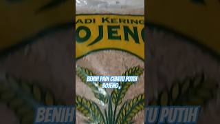 Download lagu Benih padi Cibatu putih Bojeng dari Indramayu.. mp3 Download lagu Benih padi Cibatu putih Bojeng dari Indramayu.. mp3
