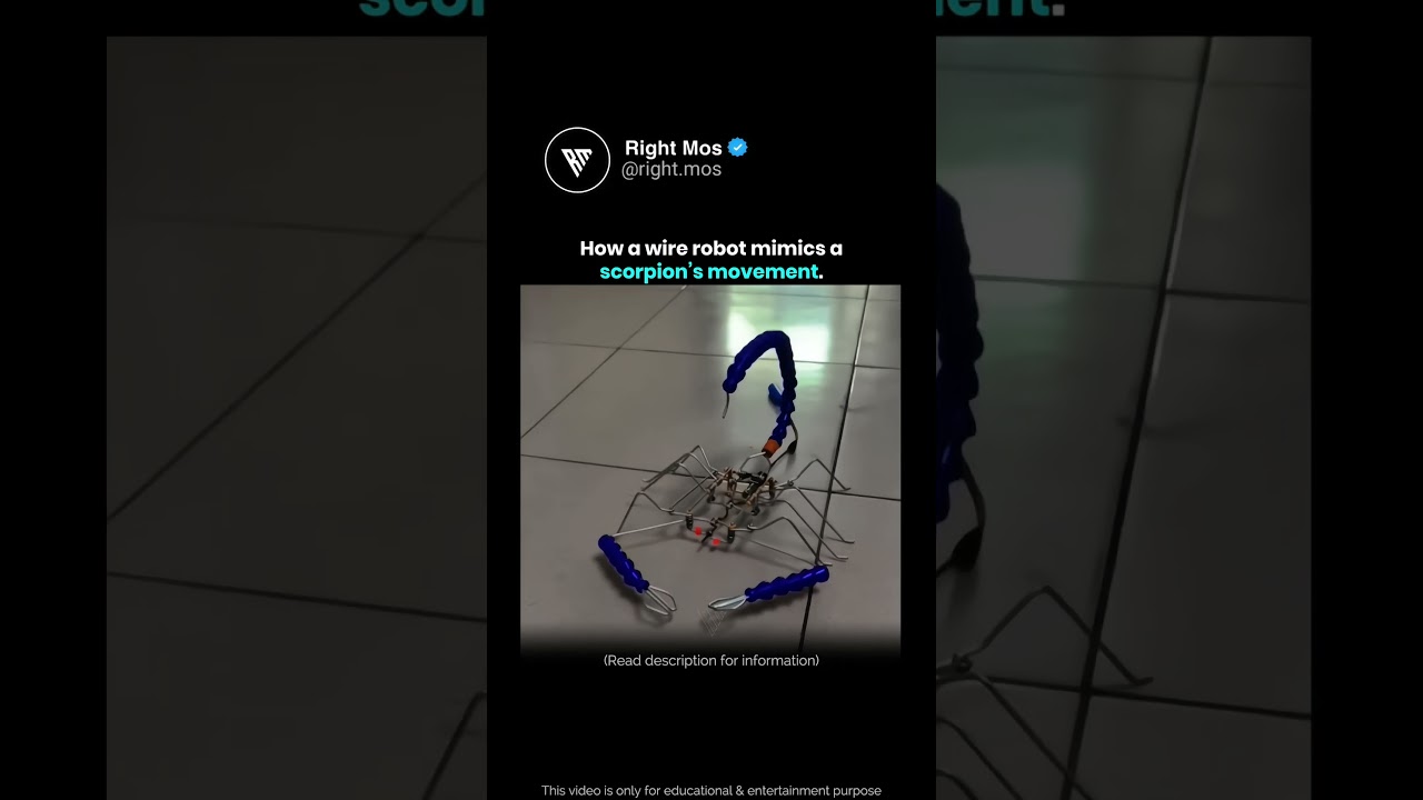 Autonomous DIY Bot 🚀🦂