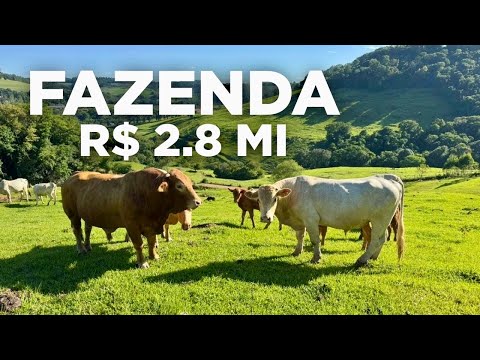FAZENDA COM 51 HECTARES + 80 CABEÇA DE GADO CASA GALPÃO EM SANTA CATARINA