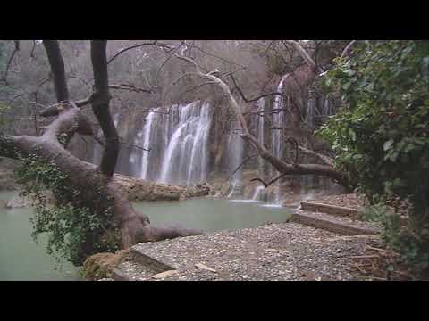 Chroma Skogsplaneten (Vid Vintergatans slut)