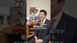 やるなら継続的に大幅に　#神谷宗幣 #参政党