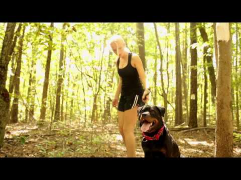 Petsense Mebane