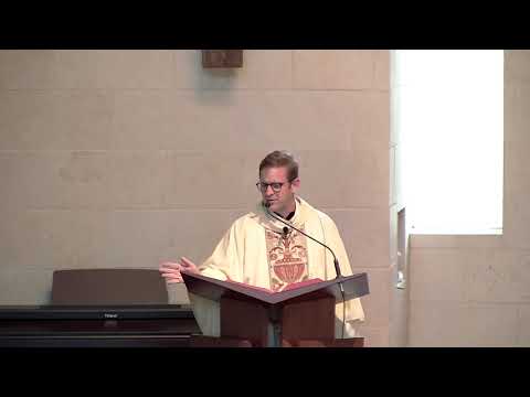 Homily for Saint Martin of Tours