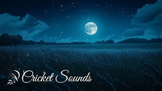 Night Ambient Sounds | Cricket Chirping - Swamp at Night, Sleep and Relaxation Meditation Sounds