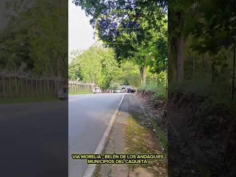 Denuncia ¿Puesto de control en una zona de riesgo entre Belén de los Andaquies y motelias Caquetá.