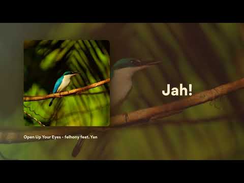 felhony - Open Up Your Eyes feat. Yan (Official Lyric Video)