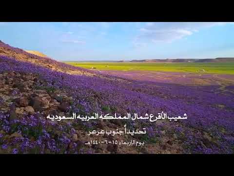 Çfarë është Teuhidi?