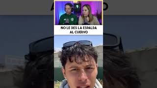 EL CUERVO QUE ATACA