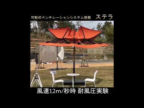 ステラ hqdefault.jpg