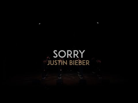 Sorry (Justin Bieber) - The Vanderbilt Melodores - Meloroo 2016