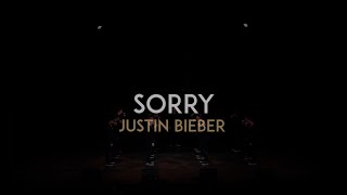 Sorry (Justin Bieber) - The Vanderbilt Melodores - Meloroo 2016