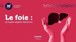 Le foie, ce super organe méconnu - 30' santé #12 #foie #foiegras #hepatite #cancer