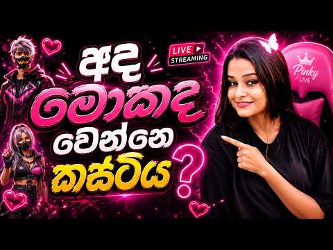 🔴හේයී පැන්චෝ😎 |FREE FIRE LIVE | PINKY GIRL #freefire