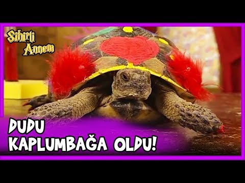 Perihan, Dudu ve Taci'yi Kaplumbağaya Çevirdi! - Sihirli Annem 31. Bölüm