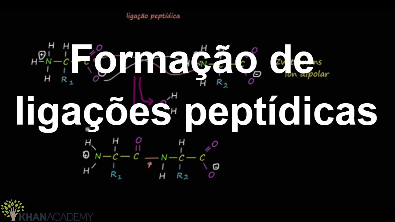 Formação de ligações peptídicas | Macromoléculas | Biologia | Khan Academy