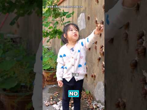 ¡Insectos aterradores en comida, todos luchan por ella!