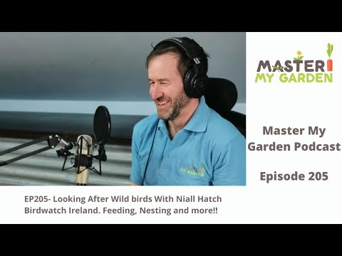 EP205- Looking After Wild birds With Niall Hatch Birdwatch Ireland. Feeding, Nesting and more!!