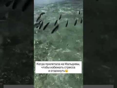 UTOPIST | Это страшно