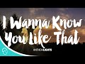 I Wanna Know You Like That-Anthem Lights (Lyrics)