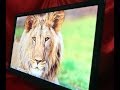 Video review Iiyama XB2380HS-B1