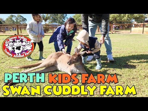 Swan Valley Cuddly Animal Farm