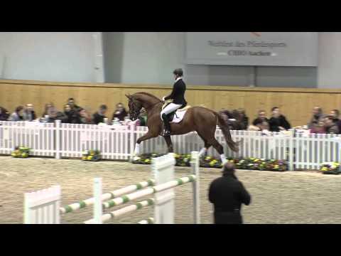 Fürst Fohlenhof Aachen 2013