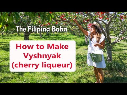 How to make Vyshnyak - cherry liqueur.  Part 1