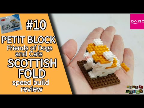 PETIT BLOCK | Friends of Dogs and Cats #10 SCOTTISH FOLD | Stop motion speed build review