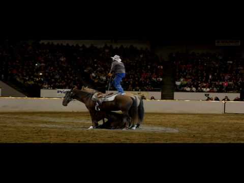 The Fantasia at Equine Affaire(R)