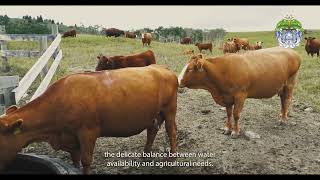 Understanding Drought | Pt. 4/5 | Sustainable Agriculture