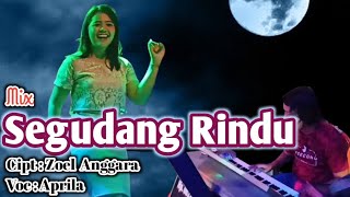 Download lagu SEGUDANG RINDU DANGDUT MIX COVER ( APRILIA ) mp3