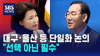 대구·울산 등 단일화 논의 한창..선택 아닌 필수 / SBS