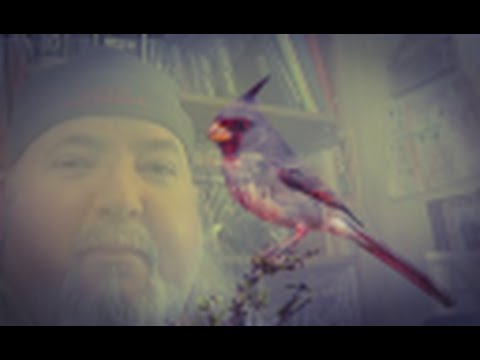 Bipolar Mental Health/Illness Preventing Relapse