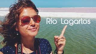 Смотреть онлайн Увидеть фламинго в Мексике: Рио Лагартос