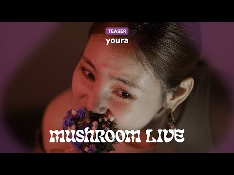 MUSHROOM LIVE - youra TEASER