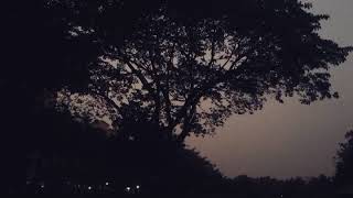 Beauty Of Our Souls!