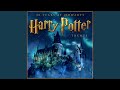 Fireworks From Harry Potter And The Order Of The Phoenix