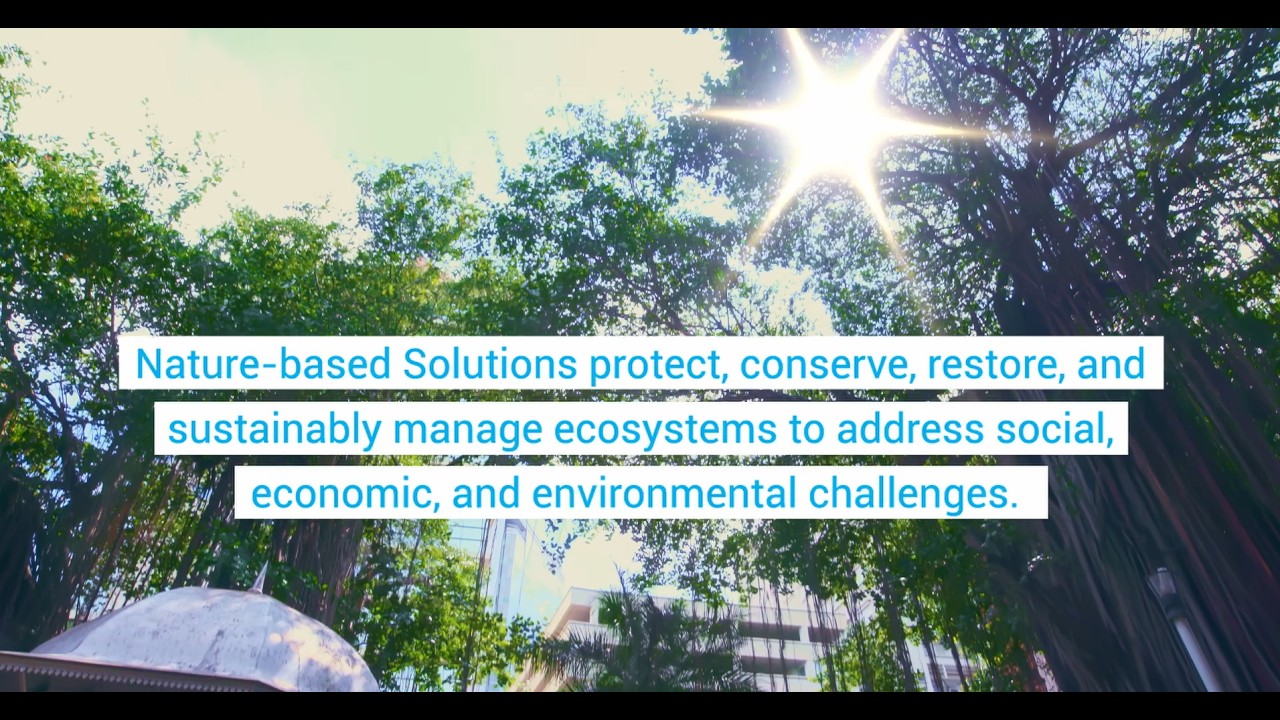 Nature-based Solutions for Climate Resilience in Port Louis, Mauritius