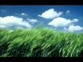 Tom Beck - Fort von hier (Lyrics) 