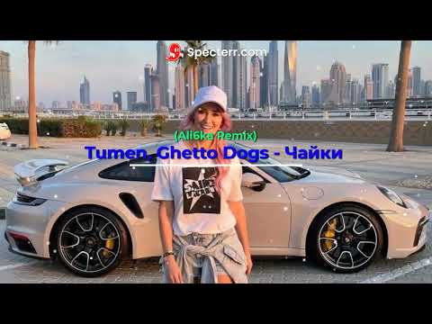 Tumen, Ghetto Dogs   Чайки Ali6ka Remix