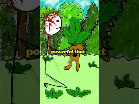 Was the mandrake a plant or an animal?