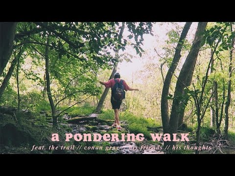 A Pondering Walk 🌿 (Vlog.11)