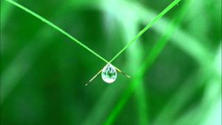 Download lagu 水に祈りて mp3