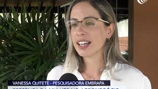Miniatura do vídeo