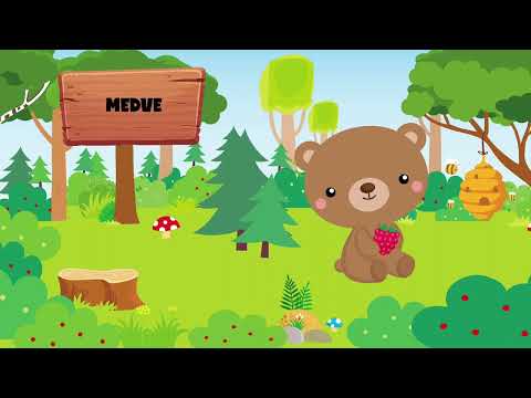 Szalay Könyvek - Az erdő hangjai