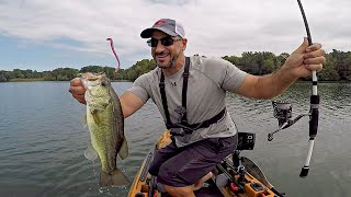 SURPRISE PREDATOR Attacks My Topwater Frog!!! Snakehead/Bass Fishing