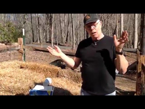 Straw Bale Gardening (SBG) - Conditioning Straw Bales - Part 1
